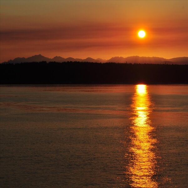 Cover art for Sundown